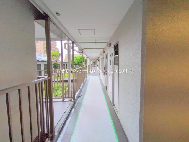 撮影日(2025-10-29 00:00:00)