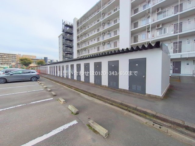 撮影日(2025-10-29 00:00:00)