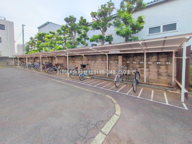 撮影日(2025-10-29 00:00:00)