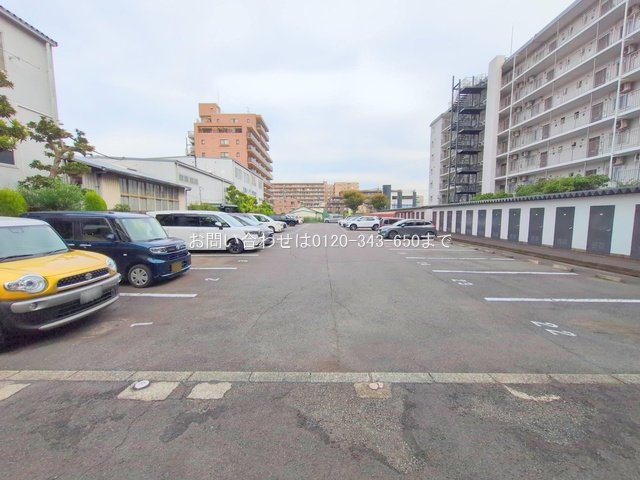 撮影日(2025-10-29 00:00:00)