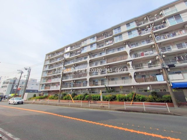 撮影日(2025-10-29 00:00:00)