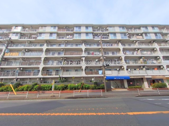 撮影日(2025-10-29 00:00:00)