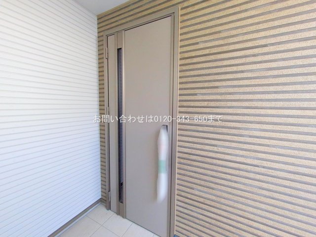 撮影日(2025-11-04 00:00:00)