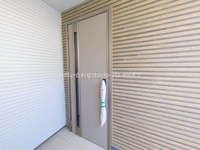 撮影日(2025-11-04 00:00:00)