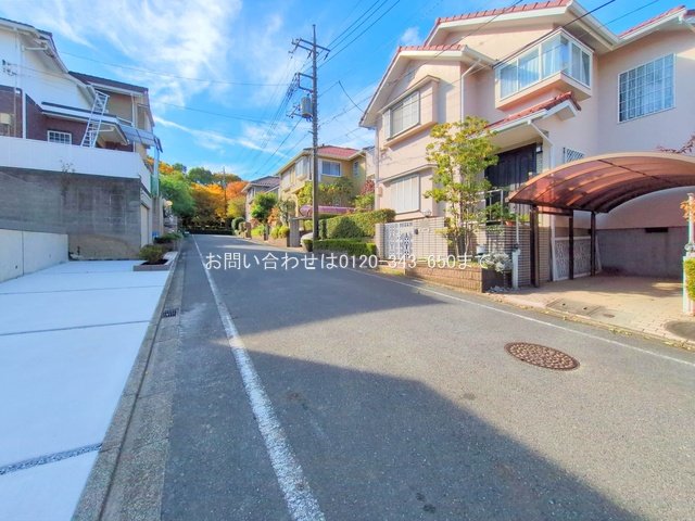 撮影日(2025-11-04 00:00:00)