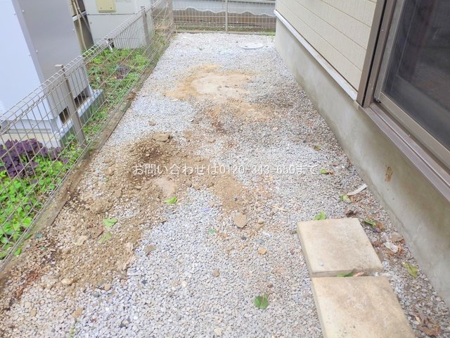 撮影日(2025-10-31 00:00:00)