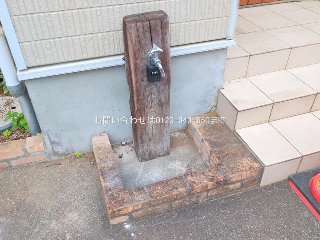 撮影日(2025-10-31 00:00:00)