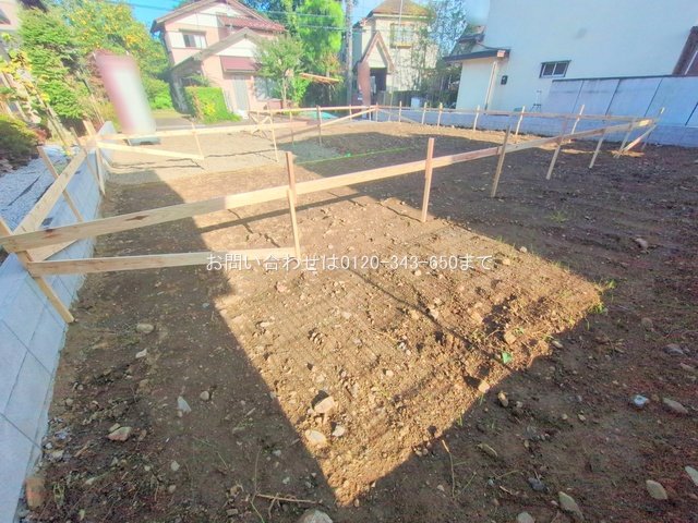 撮影日(2025-11-04 00:00:00)