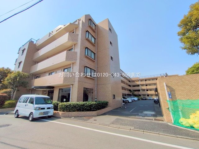 撮影日(2025-03-25)