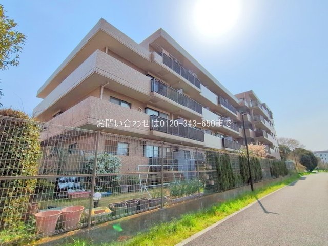 撮影日(2025-03-25 00:00:00)