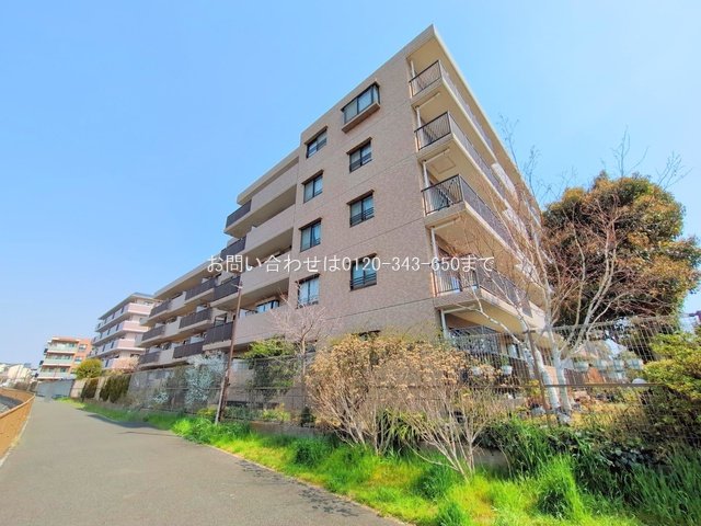 撮影日(2025-03-25 00:00:00)