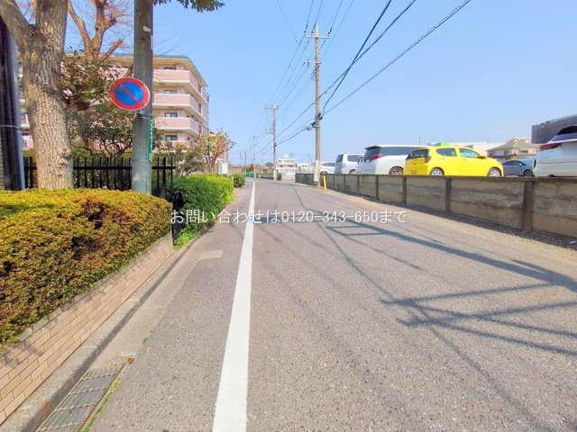 撮影日(2025-03-25 00:00:00)