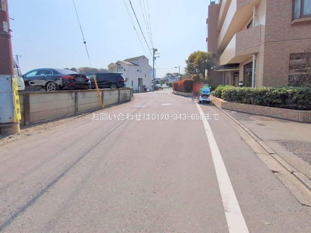 撮影日(2025-03-25 00:00:00)