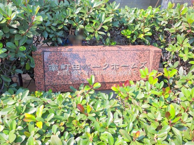 撮影日(2025-03-25 00:00:00)