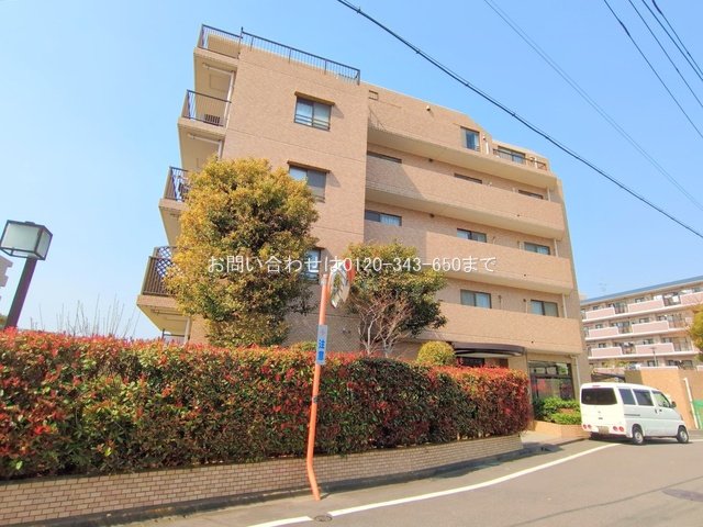 撮影日(2025-03-25 00:00:00)