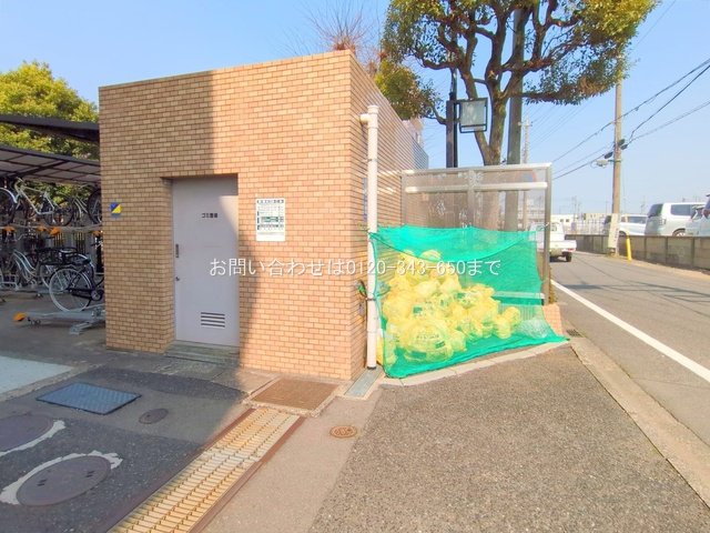 撮影日(2025-03-25 00:00:00)