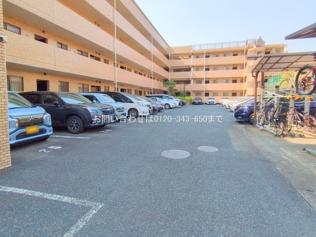 撮影日(2025-03-25 00:00:00)