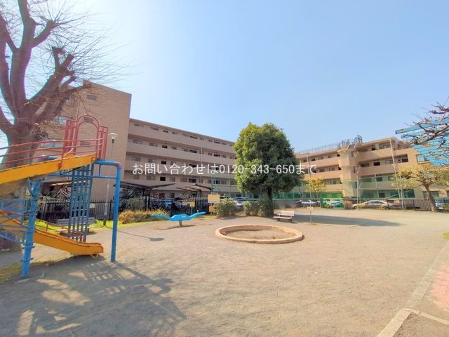 撮影日(2025-03-25 00:00:00)