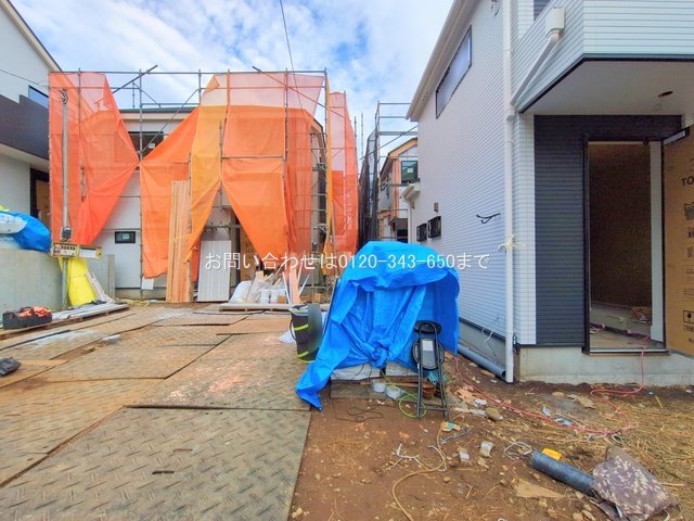 撮影日(2025-11-11)