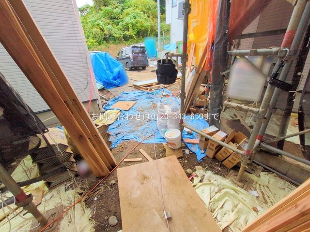 撮影日(2025-11-11 00:00:00)