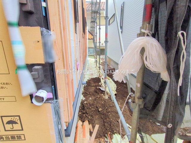 撮影日(2025-11-11 00:00:00)