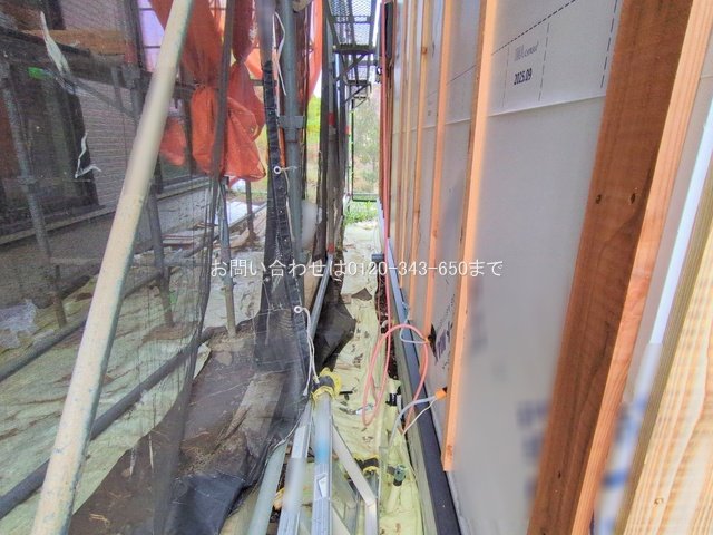 撮影日(2025-11-11 00:00:00)