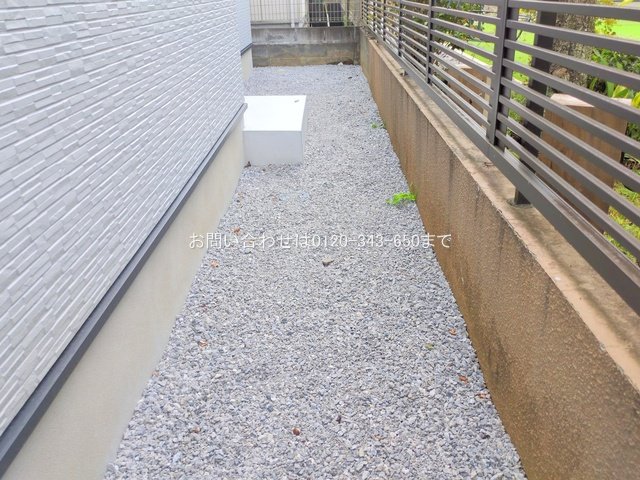 撮影日(2025-11-11 00:00:00)