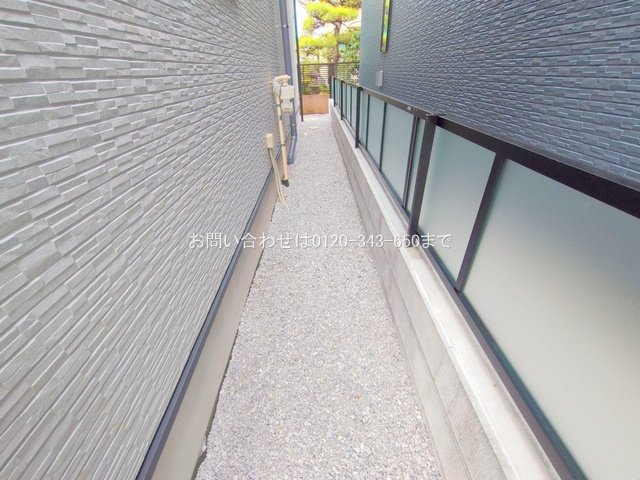 撮影日(2025-11-11 00:00:00)