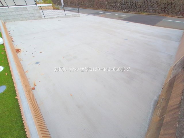 撮影日(2025-11-11 00:00:00)