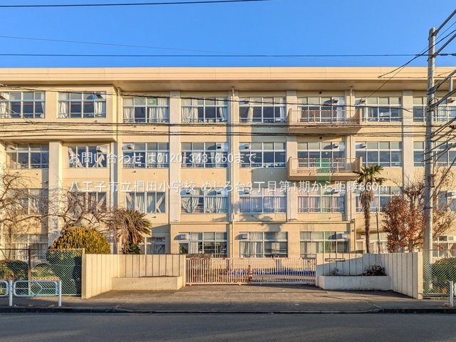 八王子市立椚田小学校 撮影日(2024-12-26) 860m
