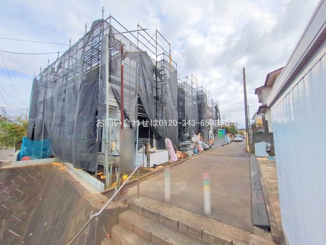 撮影日(2025-11-11)