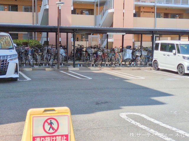 撮影日(2025-04-08 00:00:00)
