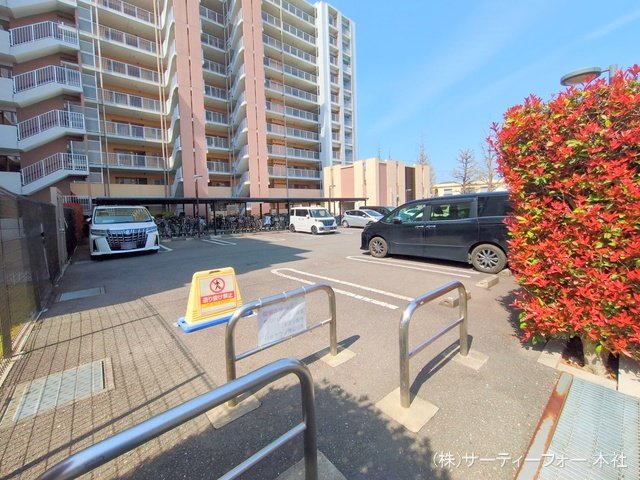 撮影日(2025-04-08 00:00:00)
