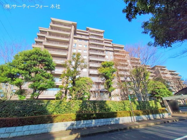 撮影日(2025-03-13 00:00:00)
