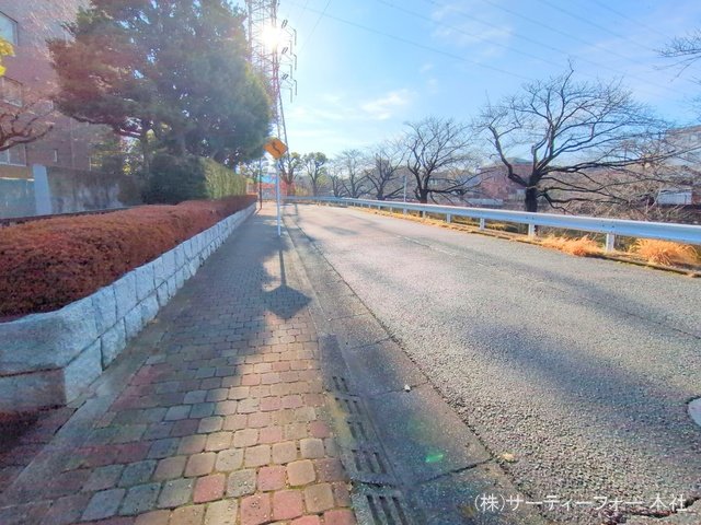 撮影日(2025-03-13 00:00:00)