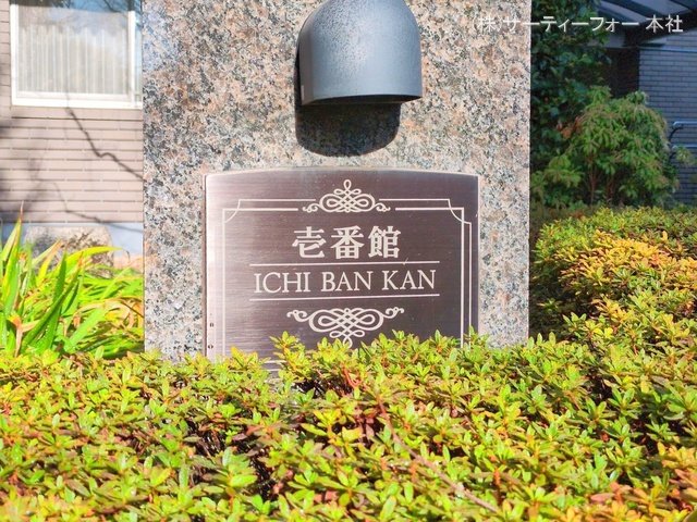 撮影日(2025-03-13 00:00:00)