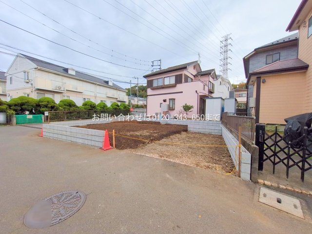 撮影日(2025-11-06)