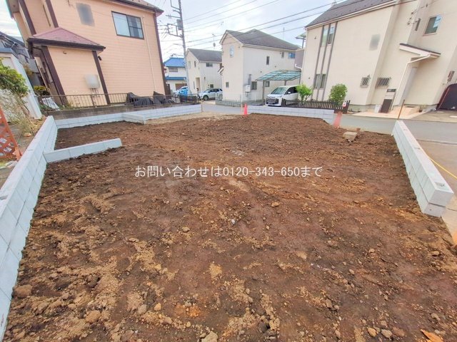 撮影日(2025-11-06 00:00:00)