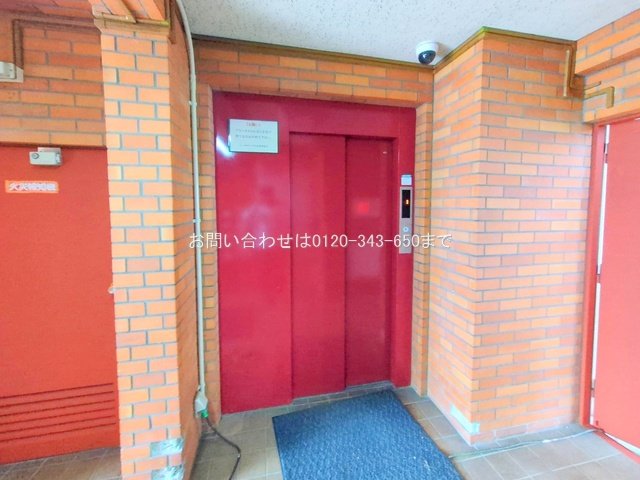 撮影日(2025-11-06 00:00:00)