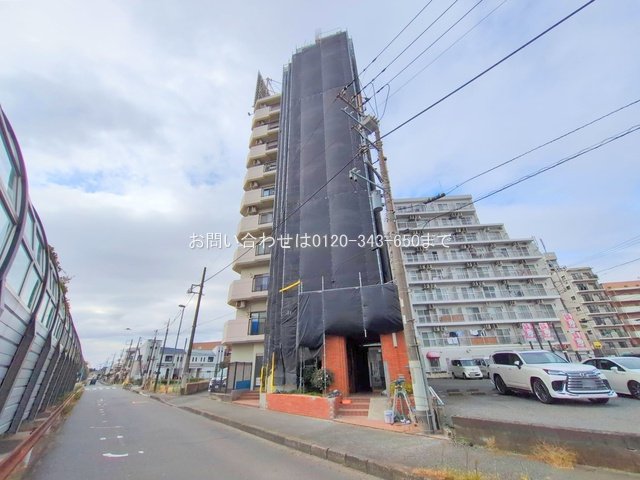 撮影日(2025-11-06 00:00:00)