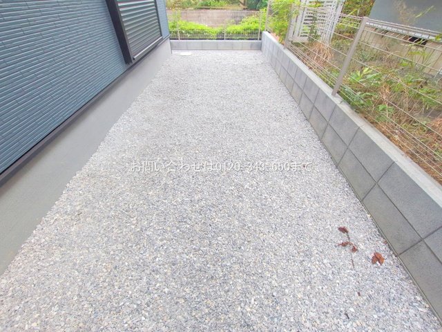 撮影日(2025-10-29 00:00:00)