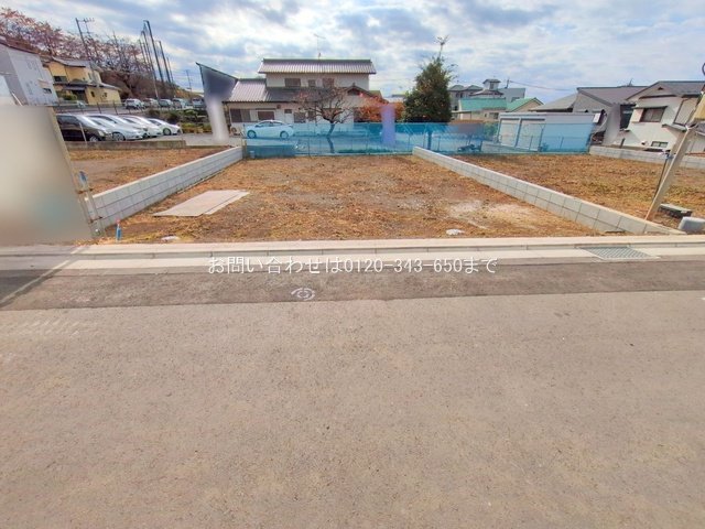 撮影日(2025-11-18 00:00:00)