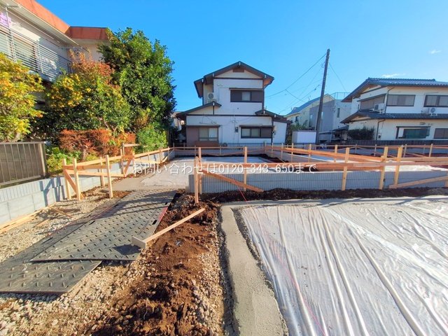 撮影日(2025-11-12 00:00:00)