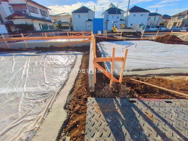 撮影日(2025-11-12 00:00:00)