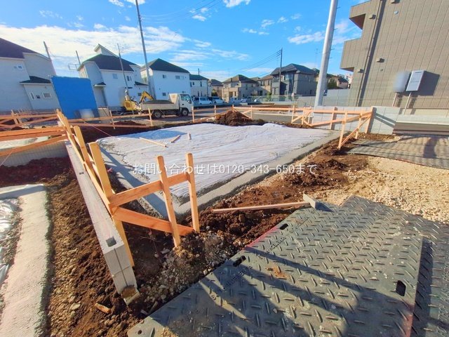 撮影日(2025-11-12)