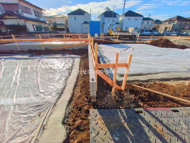 撮影日(2025-11-12 00:00:00)