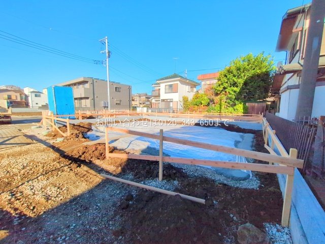 撮影日(2025-11-12)