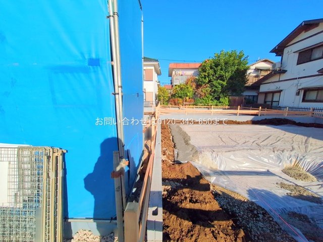 撮影日(2025-11-12 00:00:00)