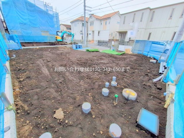 撮影日(2025-11-13 00:00:00)