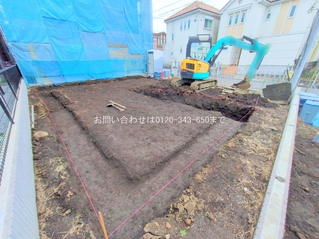 撮影日(2025-11-13)